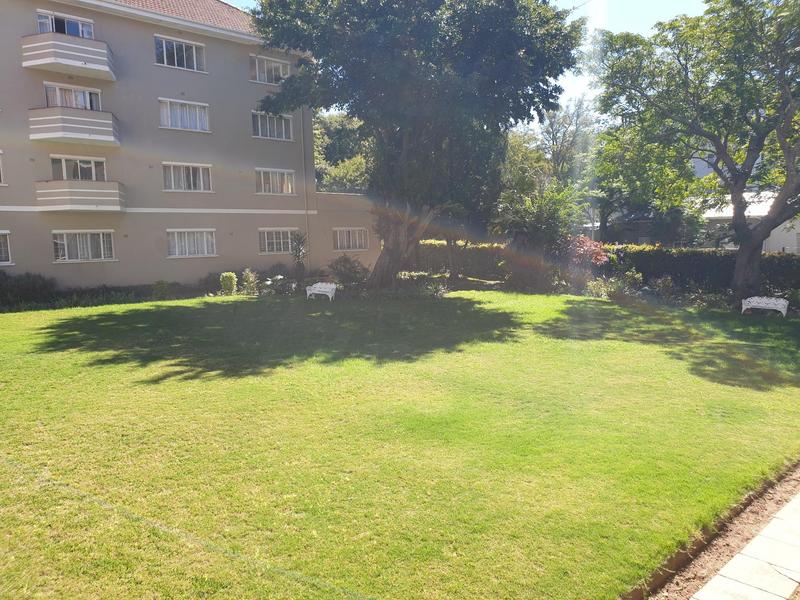 To Let 0 Bedroom Property for Rent in Rondebosch Western Cape